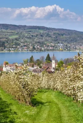 Thurgau